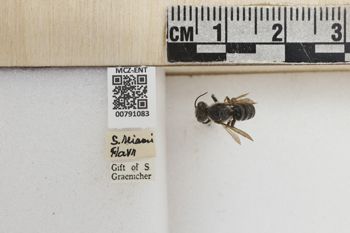 Media type: image;   Entomology 791083 Aspect: Labels